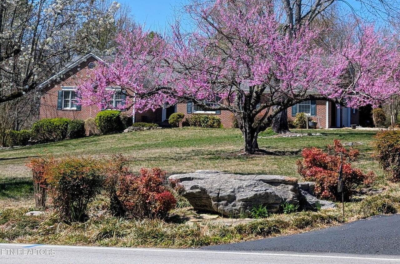 https://bt-photos.global.ssl.fastly.net/chattanooga/1280_boomver_3_1521554-2.jpg