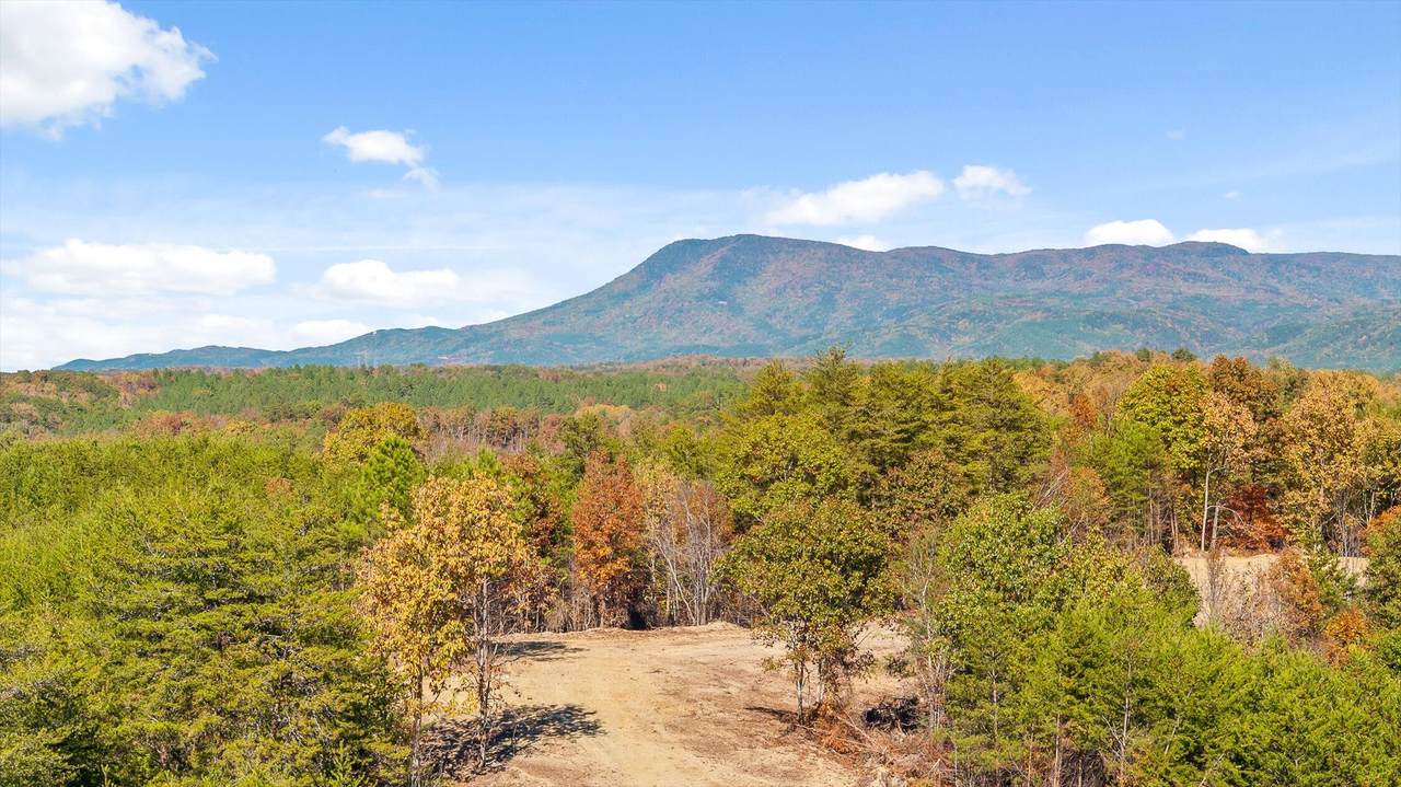 Tract 92 Conniston Road - Photo 1