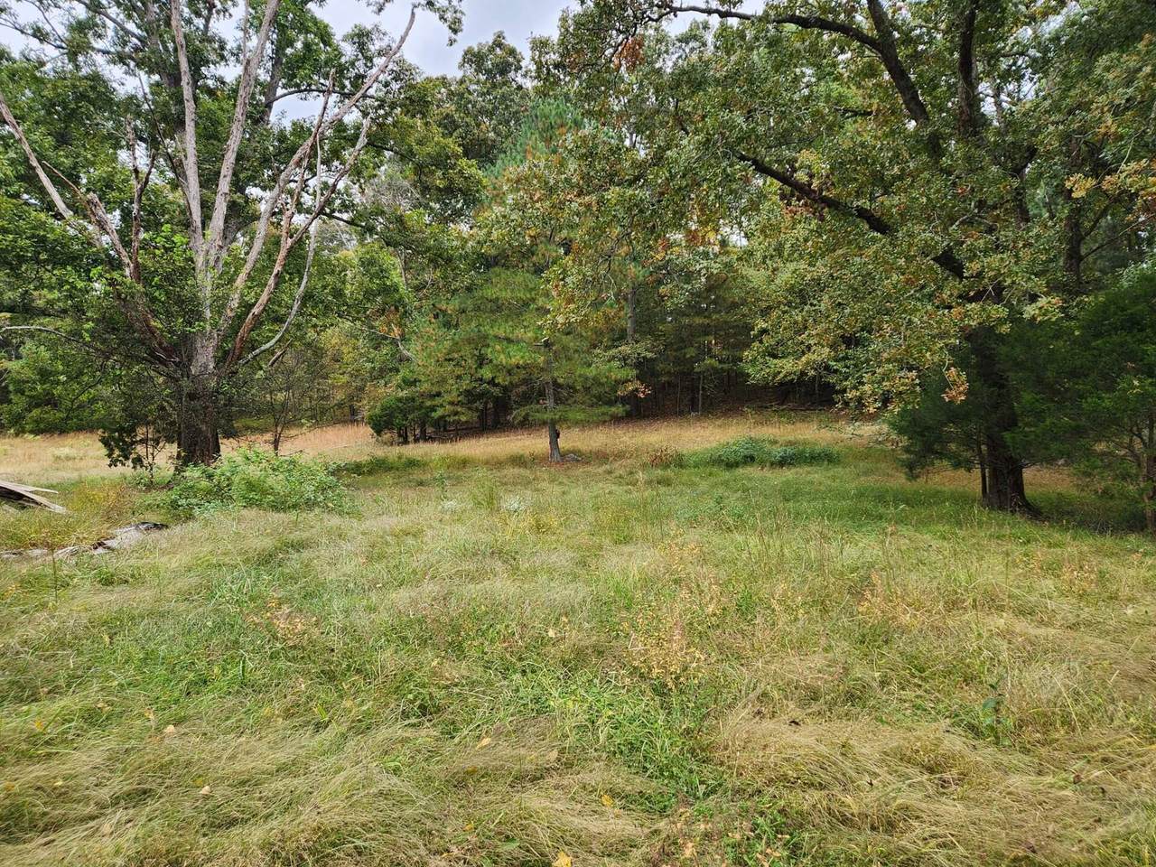 00 Nickajack Rd - Photo 1