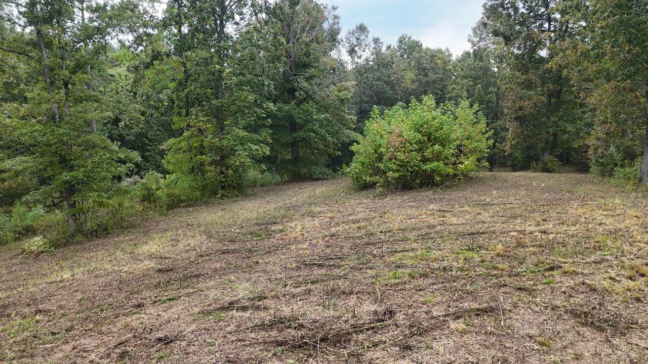 Lot 23/24 County Road 758 - Photo 1