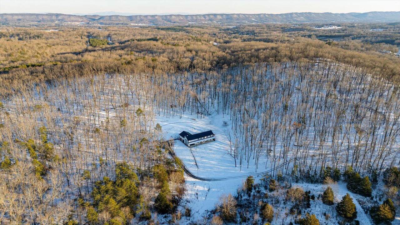 11108 Possum Trail Road - Photo 1
