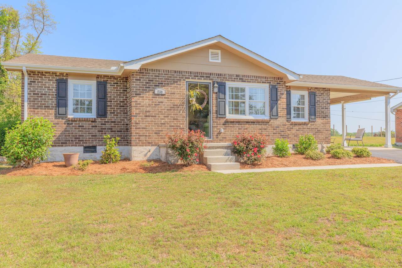 239 Langley Drive - Photo 1