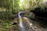 0 Turkey Trl Trail - Photo 40