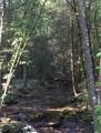 0 Turkey Trl Trail - Photo 44
