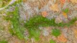 0 0 Slygo Road - Photo 33