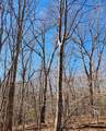 20-20 Devon Loop - Photo 2