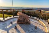 2363 Heavenly View - Photo 153