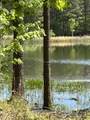290-Rb-201 Bear Trace Drive - Photo 24
