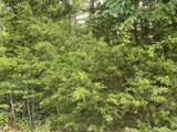 5.22 Blue Sewanee Road - Photo 6