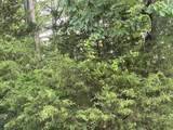 5.22 Blue Sewanee Road - Photo 7