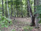 240 Hwy 399 Road - Photo 17