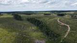 240 Hwy 399 Road - Photo 27