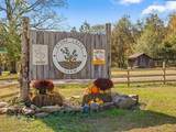 919 John Burch Road - Photo 73