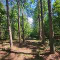 0-1125 Split Rail Way - Photo 1