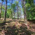 0-1125 Split Rail Way - Photo 2
