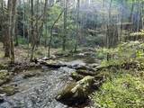 40 Acres Ivy Trail - Photo 1