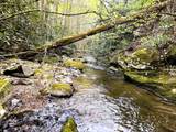 40 Acres Ivy Trail - Photo 10