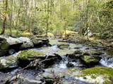 40 Acres Ivy Trail - Photo 11