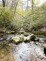 40 Acres Ivy Trail - Photo 12