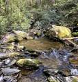 40 Acres Ivy Trail - Photo 13