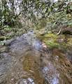 40 Acres Ivy Trail - Photo 14