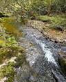 40 Acres Ivy Trail - Photo 15