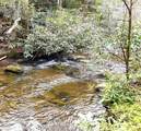 40 Acres Ivy Trail - Photo 17