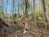 40 Acres Ivy Trail - Photo 19