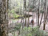 40 Acres Ivy Trail - Photo 2