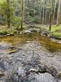 40 Acres Ivy Trail - Photo 20