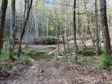 40 Acres Ivy Trail - Photo 21