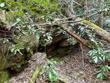 40 Acres Ivy Trail - Photo 24