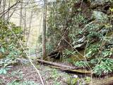 40 Acres Ivy Trail - Photo 25