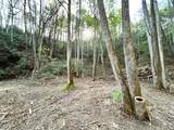 40 Acres Ivy Trail - Photo 27