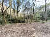 40 Acres Ivy Trail - Photo 3