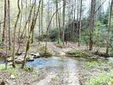 40 Acres Ivy Trail - Photo 30