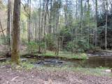 40 Acres Ivy Trail - Photo 32