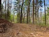 40 Acres Ivy Trail - Photo 36
