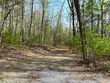40 Acres Ivy Trail - Photo 39