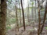40 Acres Ivy Trail - Photo 4
