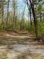 40 Acres Ivy Trail - Photo 40