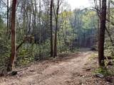 40 Acres Ivy Trail - Photo 41