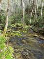 40 Acres Ivy Trail - Photo 42