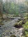 40 Acres Ivy Trail - Photo 43
