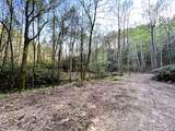 40 Acres Ivy Trail - Photo 6