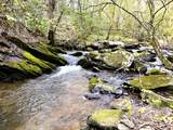 40 Acres Ivy Trail - Photo 9