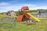 10613-89 Kavya Lane - Photo 35