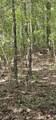 000 Cove Hill Road - Photo 3