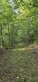 000 Cove Hill Road - Photo 8