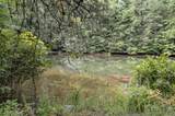 1051 Ducks Nest Road - Photo 13